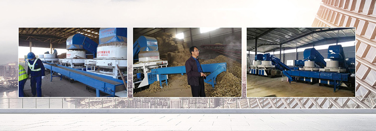 乐动手机网页版登录入口