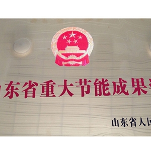 山东省重大节能成果奖